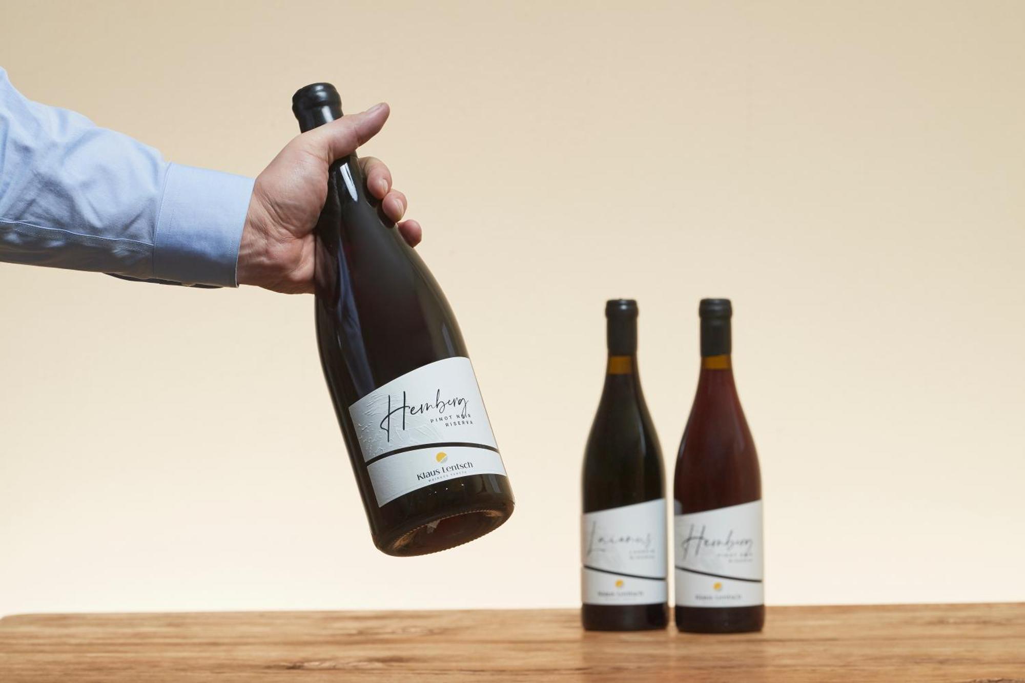Apartmán Weingut Klaus Lentsch Appiano Sulla Strada Del Vino Exteriér fotografie
